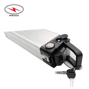 Batería de Litio para Bicicleta Eléctrica, 250-1000W, Silver Fish, 24V 36V 48V, 10Ah 12Ah 18Ah 20Ah 24Ah 30Ah, para Rueda de Bicicleta - Product Image 5
