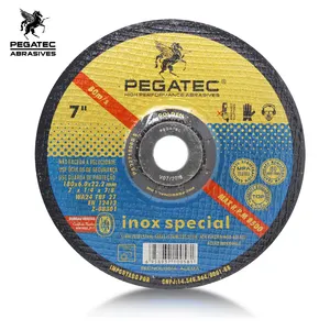 PEGATEC 180x6 x 22.2毫米不锈钢研磨盘