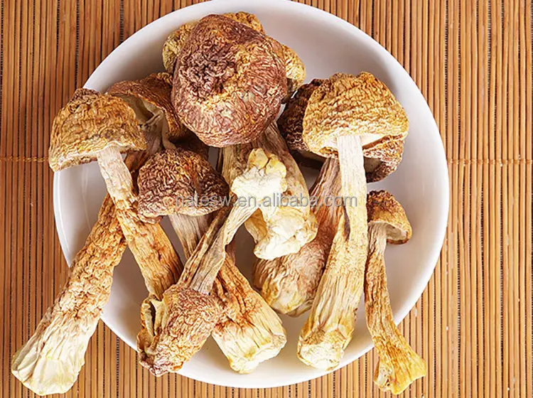 Agaricus blazei murill nấm mushroom extract 60% polysaccharides