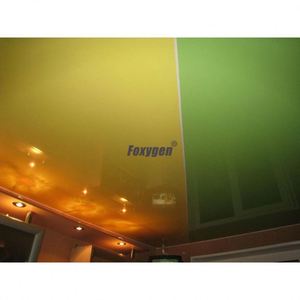 Oem dự án Dễ dàng cài đặt xây dựng PVC tấm thạch cao trần giả trang trí với 15-năm bảo hành cho hồ bơi - Product Image 6