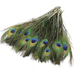Bán Quà Tặng Thiết Kế Tiệc Cưới Chất Lượng Hàng Đầu Lông Chim Công - Product Image 6