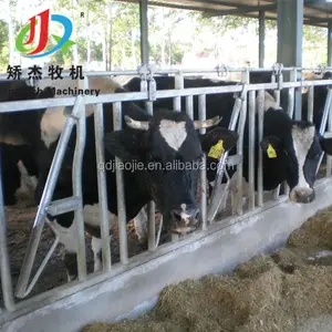 Flexible Cattle Head Lock Cow Loop Cubicle