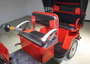 QSD vélo électrique à 3 roues <span class=keywords><strong>rouge</strong></span> et noir, motocyclette à deux passagers, <span class=keywords><strong>Tricycle</strong></span> de transport à trois roues à vendre - Product Image 3