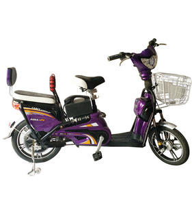 E <span class=keywords><strong>bici</strong></span> 48 V largo alcance 20 pulgadas bicicleta eléctrica vendimia - Product Image 6