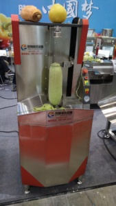 FXP-66 coco brun machine à éplucher la peau, éplucheuse de noix de coco de noix de coco machine de polissage - Product Image 6