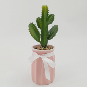 Offre Spéciale conception personnalisée non peint <span class=keywords><strong>hobby</strong></span> d'intérieur en céramique <span class=keywords><strong>pots</strong></span> de plantes succulentes - Product Image 5
