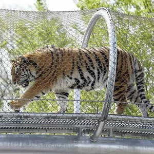 Malha de cabo de aço inoxidável do zoológico, gaiola de malha de fio de pássaro