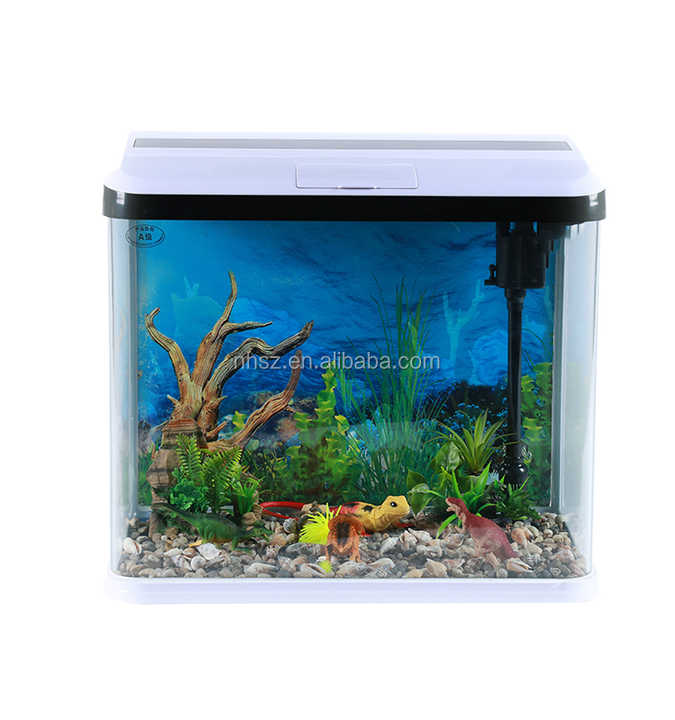 Wholesale beta Betta fish tank Aquaponics