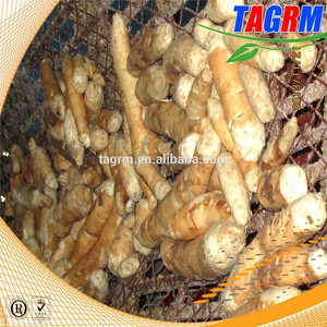 Buena calidad MSU-PC yuca pelado máquina, yuca <span class=keywords><strong>descamación</strong></span> de la piel de la máquina, yuca raíz peeler - Product Image 4