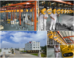 Cheapest Waterproof 250kg Pull Lift Block Chain - Product Image 4