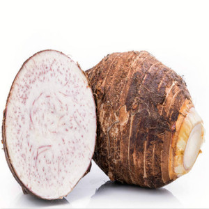 GMP標準食品グレード可溶性太郎粉末真空パックドラム植物エキス - Product Image 3
