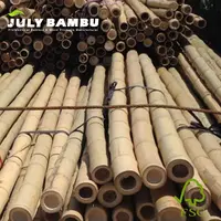 Matériel de construction en bambou naturel traité, 100mm, pôle en bambou brut pour la construction