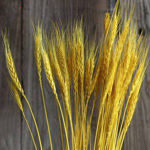 Nuova Offerta: Fiore Secco Artificiale di Grano per Decorazione - Product Image 4