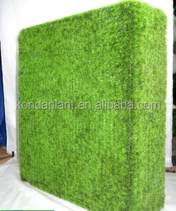 Mejor precio para cercas de madera de boj artificial/cobertura - Product Image 5