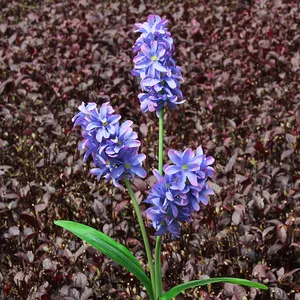 太阳能花园花装饰灯