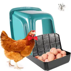良好的质量和价格的鸡蛋巢箱巢箱鸡母鸡鸡窝/