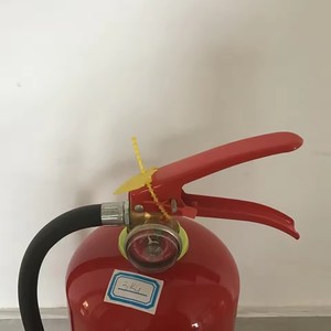<span class=keywords><strong>Extincteur</strong></span> à pression stable haute efficacité, un dispositif essentiel de protection incendie d'urgence <span class=keywords><strong>pour</strong></span> les foyers et les entreprises - Product Image 2