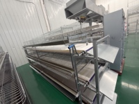 Nouvelle cage à poulets automatique de type H sur mesure, équipement d'élevage avicole automatisé OEM personnalisé en acier inoxydable galvanisé