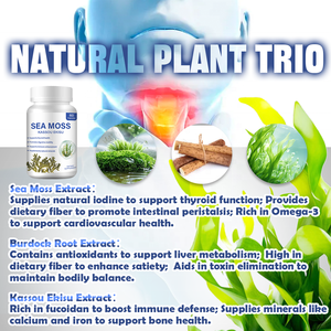 קפסולות אצות ים OEM סופרפוד 60 כמוסות, מועשרות בתמצית שורש בורדוק ואצות חומות. - Product Image 2