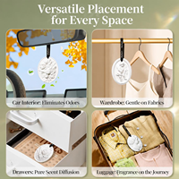 Diffuseur d'arômes suspendu vintage en pierre de plâtre microporeuse naturelle, écologique et de haute pureté, parfum botanique