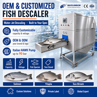 Descamadora de Pescado OEM Personalizada Chorro de Agua 304 Acero Inoxidable para Salmón Tilapia Carpa Dorada ODM Fabricación