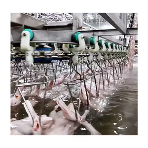 AICN High Quality Automatic Duck Chicken Slaughter Houses Cone Stainless Steel Hanger Turkey Machine Line