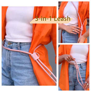 <span class=keywords><strong>2026</strong></span> लक्जरी प्रिंट बहु-कार्यात्मक कस्टम समायोज्य वाटरप्रूफ कुत्ते पट्टा मिश्र धातु सिलिकॉन क्रॉसबॉडी कमर बेल्ट मध्यम बड़े आकार - Product Image 2