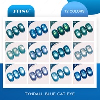 Collection de vernis à ongles gel œil de chat JTING TPO Hema Free Design 12 couleurs Tyndall Blue Cat Eye Gel Polish OEM 15ml, fournitures pour salon