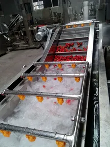 Máquina de limpieza automática de acero inoxidable Máquina de limpieza de burbujas de verduras con fecha roja