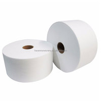 Hydrophile Ss/SSS Polypropylen PP Spunbond Vliesstoff für Sanitär produkte