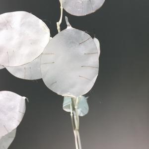 Feuilles de plante artificielle <span class=keywords><strong>Lunaria</strong></span> annuelle A-1066 (Argentier) pour bouquet de mariage, baby shower, arrangement floral - Product Image 2