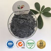 Poudre de carbure de silicium noir ultra-fine 98,5 % SIC3000 3000 Mesh SiC Carborundum noir pour lustrage de précision et abrasifs