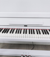 Musical Keyboard Hot Sale Digital Piano 88 Semi Weight Keys Keyboard Wood Shell Style Electronic Instrument
