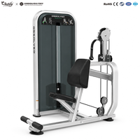 Solution clé en main pour salle de sport : Machines à charges sélectionnables à poulies pour centre de fitness commercial moderne, directement de l'usine