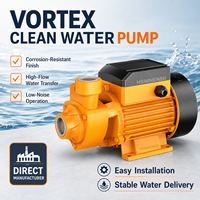 Pompe à eau auto-amorçante à vortex haute pression pour l'irrigation agricole et le surpressionnement de l'eau du robinet domestique pour eau propre et chaude