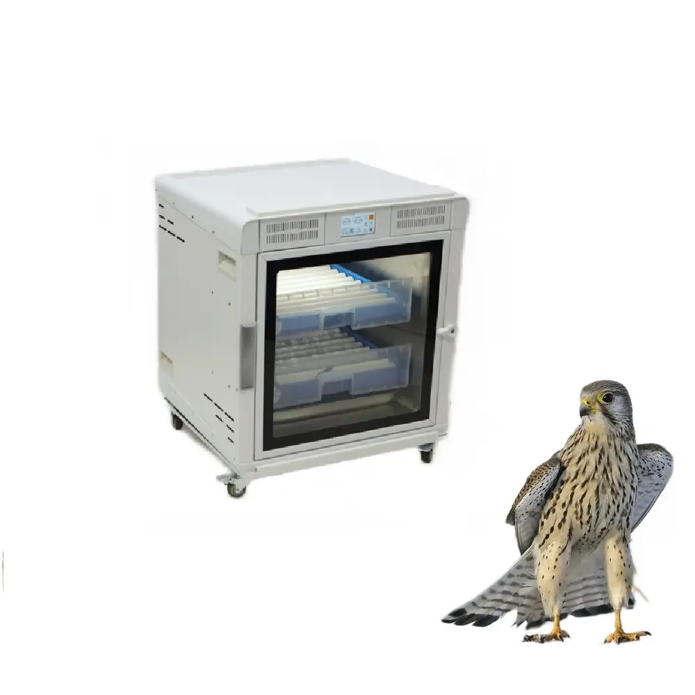 Птичий брудер для продажи яиц инкубатор для птиц инкубатор и инкубатор для птицеводства инкубатор для птиц