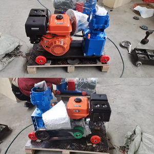 Nouvelle machine à granulés alimentaire à <span class=keywords><strong>moteur</strong></span> essence, capacité 200 kg/h, haute sécurité, taille <span class=keywords><strong>de</strong></span> granulés personnalisable 4-6 mm, garantie 1 an pour la volaille - Product Image 3