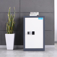 Armoire de sécurité industrielle en métal pour la maison, le bureau, l'école et l'hôpital - Armoire à dossiers verrouillable et durable avec rangement confidentiel