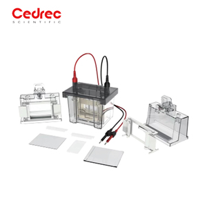 เครื่องอิเล็กโตรโฟรีซิสแบบแนวตั้ง Cedrec CD-MINI02 พร้อมถังแก้ว ฟังก์ชั่นตั้งเวลา ป้องกันน้ำ IP55 สำหรับการแยกโปรตีน - Product Image 2