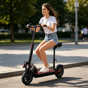 Trottinette polyvalente pour adolescents et adultes, roues interchangeables, surface lisse, conversion tout-terrain DW-XS-T10, réglable - Product Image 4