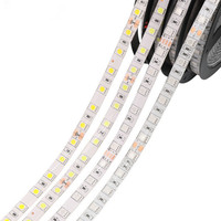 Vente d'usine bande lumineuse LED intelligente 12V 300Led 5M étanche IP65 SMD 5050 couleur unique 3000k 4000k 6000k avec mode de contrôle d'application