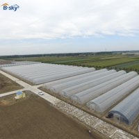 Serre tunnel en PE robuste à simple travée avec structure en acier galvanisé à chaud et système de ventilation – Usage commercial