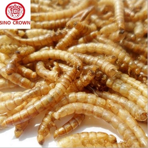 Alta proteína gusanos aceite para pollos de engorde concentrado de alimentación de pollo - Product Image 5