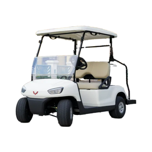 Wuling <span class=keywords><strong>2</strong></span> sièges 4kw Mini <span class=keywords><strong>Golf</strong></span> Buggy élégant plus rapide 48V batterie intelligent pas cher chariots de <span class=keywords><strong>Golf</strong></span> électriques pour terrain de <span class=keywords><strong>Golf</strong></span> Tianneng Simple - Product Image 1