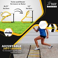 ZJFIT Ensemble d'entraînement d'agilité et de vitesse pour le football, 30 pièces, avec échelle et cônes, en Nylon/Acier/PP, durable et écologique, 6m, 12 nœuds, personnalisable