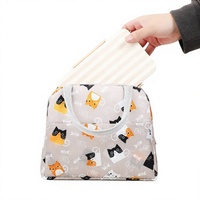 Nouvelle boîte à lunch thermique en tissu Oxford, motif dessin animé mignon, avec doublure en feuille d'aluminium, grande capacité, sac bento pour extérieur