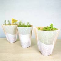Manchon de plantes en papier pour herbes, emballage en papier torsadé, Semi-transparent, pour fleurs en papier