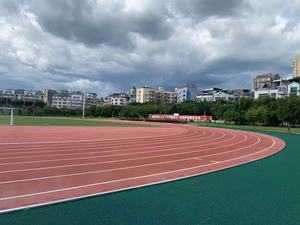 Tapis de course en tartan INOLP, revêtement de sol athlétique, tapis en caoutchouc synthétique, carrelage préfabriqué fabriqué en Chine et en GUA - Product Image 5