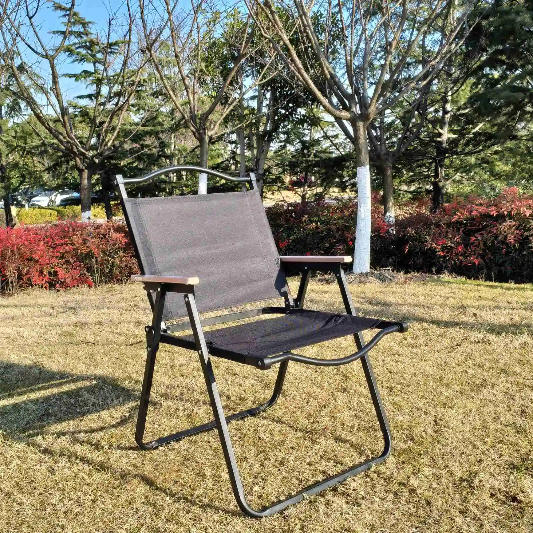 Strandstoel Kampeerstoel Met Houten Rugleuning Campingstoel Voor Picknick Met Buiten