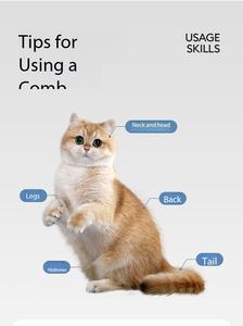 Peigne droit à dents fines en acier inoxydable pour le toilettage des chiens et des chats, outil de démêlage pour les poils longs des Golden Retriever et des Border Collie - Product Image 6